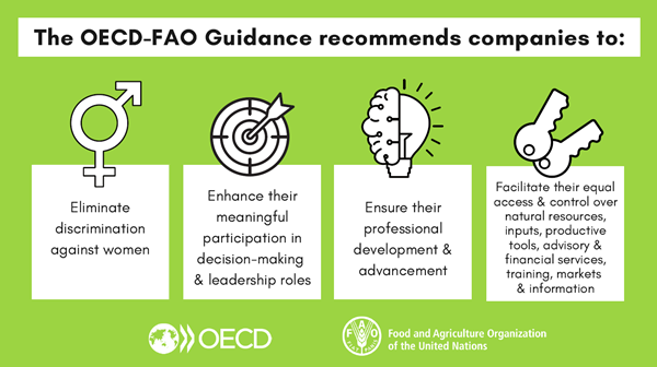 OECD-FAO Guidance recommendations for gender sensitive due diligence